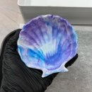 안동 공방 ‘린다플랜트’ 이색체험 데이트 추천