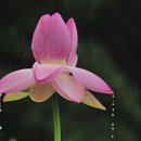 한국 카메라 박물관 이미지