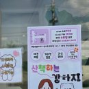생활미용 | 세종 조치원 애견미용 후기 | 산책하는 강아지
