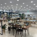신혼부부 혼수 그릇세트 구매는 화성 봉담 대형 브랜드샵 :: 라온컴퍼니(+카네수즈,시라쿠스 구매 후기)