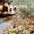부천MJ웨딩홀 견적 25, 26년 그랜드볼룸 식대 공유