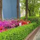 하람한의원 이미지