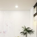 디자인피움