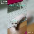 태복