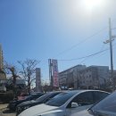 송천민물매운탕 | 능곡 송천매운탕 후기 내돈내산