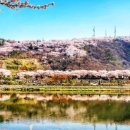 고향의 봄 이미지