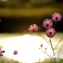 햇살좋은 이미지