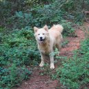 풍이농장 이미지