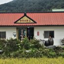 원주 매지리 대추나무막국수 내돈내산 방문 후기