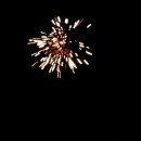 코끼리펜션 이미지