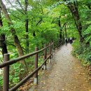 주천면사무소
