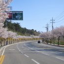 발한로 이미지