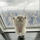 천향마라탕 이미지