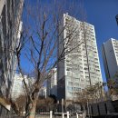 어정초교후문사거리 어정초정문앞 횡단보도(아파트 쪽) | 미아사거리역 하월곡동 상권 좋은 초품아 대단지 아파트 래미안월곡아파트 리뷰