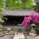 광복운송 이미지