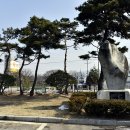 도안면사무소 이미지