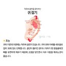 뜨렌비 이미지