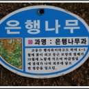 삼계초등학교 이미지