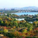 스마트 행정사 사무소 이미지