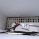 부일로113번길 이미지