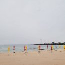 퍼스트커피랩제주 - 제주시 연삼로 422 | 퍼스트커피랩제주