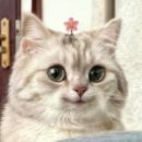 사랑방맛집 이미지