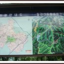 칠갑정 Daum카페