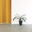 카페 영화동 이미지