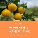 달콤언니 이미지