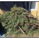 상촌찜질방 이미지