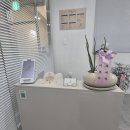 제이애견샵 | 거제동 네일샵추천 미용사도 유지력좋은 눈이자꾸가는 '프롬제이네일'