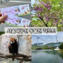 판다사자온라인 | 서울대공원 동물원 리프트패키지 2회권 후기(겹벚꽃 막차탑승)