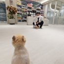 가은메디칼 | 반려견이 편안하고 건강한 노년을 보낼 수 있도록, 보호자님이 알아두시면 좋을 &#39;노령견 건강관리&#39;