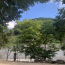 파래소 가든 | [양산/울산] 계곡이 있는 *파래소 가든 캠핑장(샤워실/매점/사이트 위치 등)