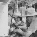 성일카랜드 이미지