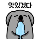 고기파는사람들