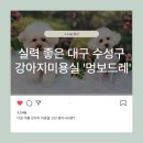 멍보드레 이미지