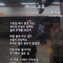 개매로