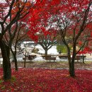 만추의 전원 이미지