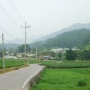 내장산논실