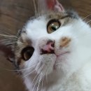 다정한 세계 이미지