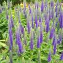 외암민속박물관 이미지