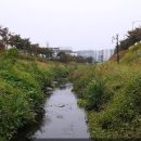 선환경 이미지