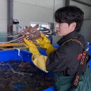 내내농수산 이미지