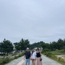 연오랑 | 여행 7) 너무나 만족했던 포항관광택시투어 후기, 연오랑 세오녀 테마파크, 포항관광택시투어 이용방법...
