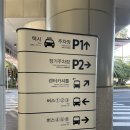 우리들항공여행사