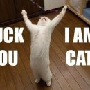 11500-12-12-01 이미지