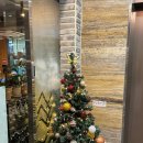 수성구청 이미지