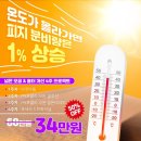 수정뷰티에스테틱