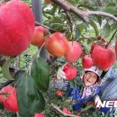 영근농장 이미지